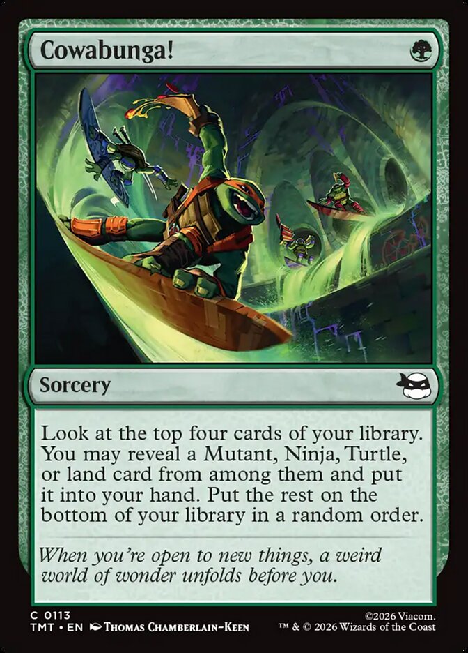 Cowabunga! - Teenage Mutant Ninja Turtles