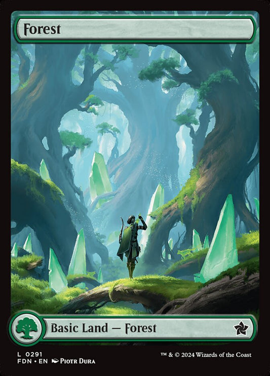 Forest - Foundations