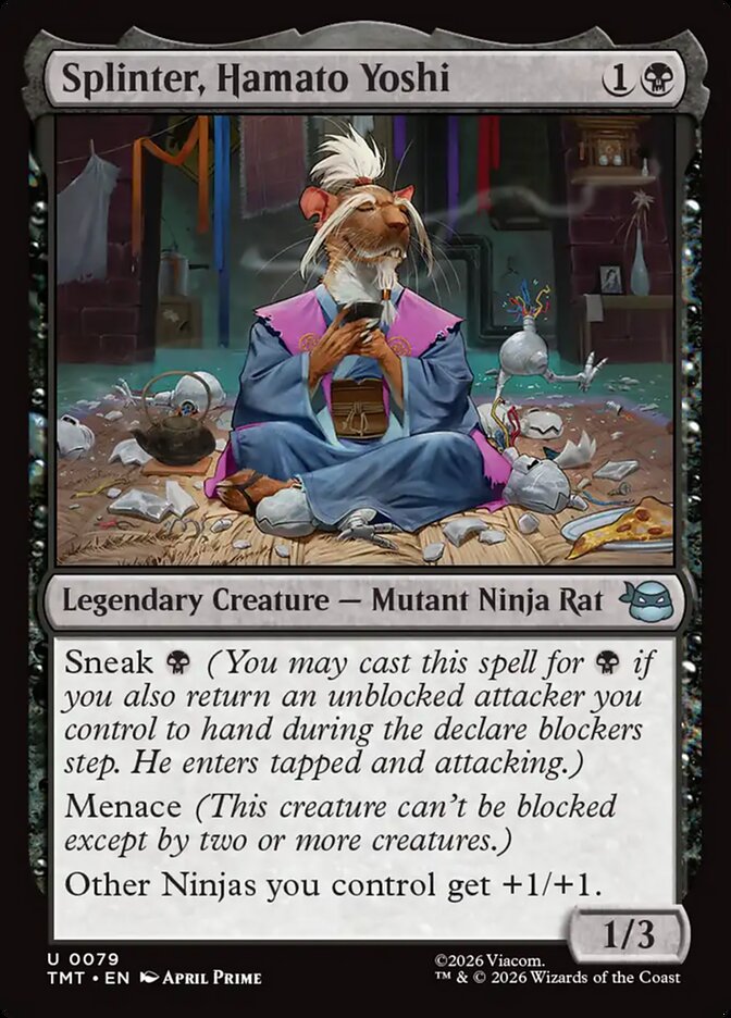 Splinter, Hamato Yoshi - Teenage Mutant Ninja Turtles
