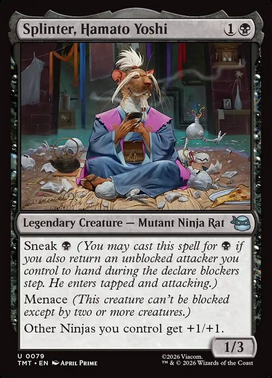 Splinter, Hamato Yoshi - Teenage Mutant Ninja Turtles
