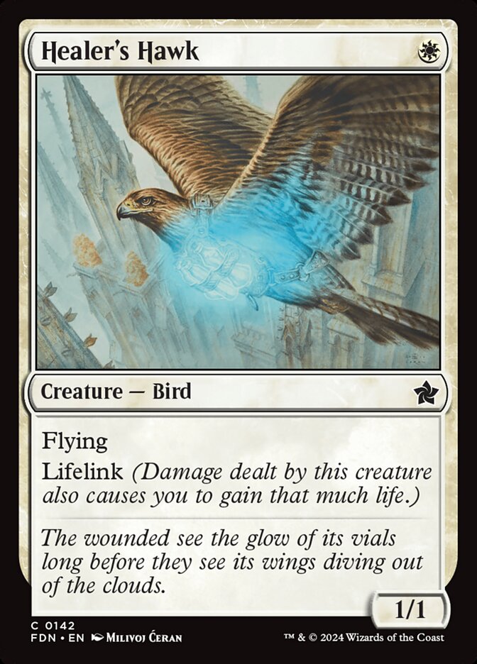 Healer's Hawk - Foundations