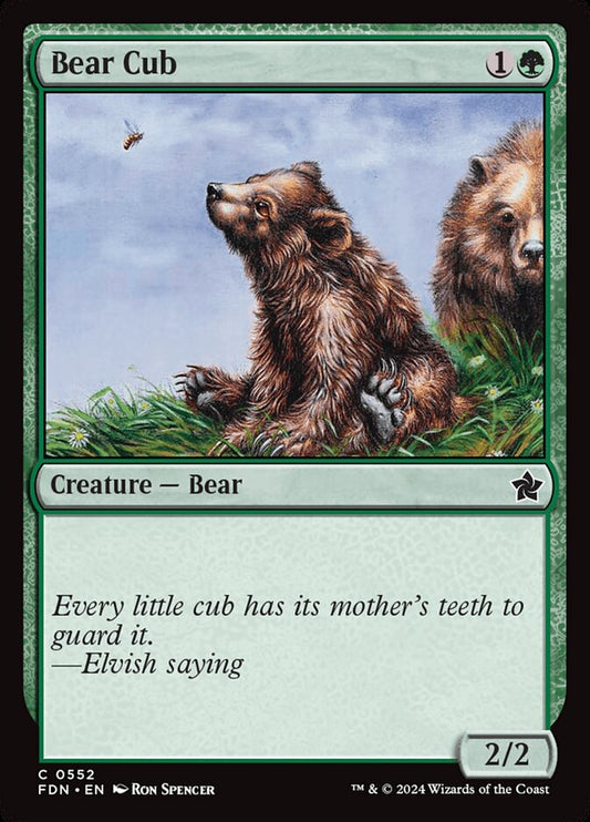 Bear Cub - Foundations