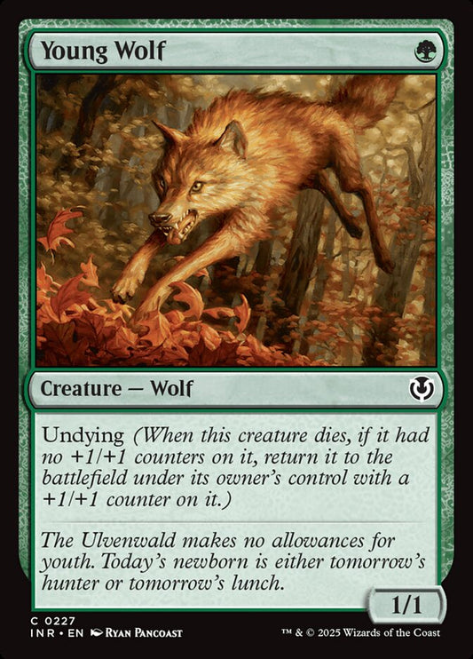 Young Wolf - Innistrad Remastered